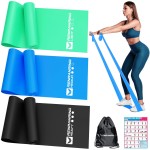 Resistance Bands for Working Out, Exercise Bands for Physical Therapy, Stretch, Recovery, Pilates, Rehab, Strength Training and Yoga Starter Set