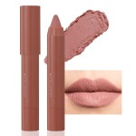 BINGBRUSH Crayon Matte Longwear Lipstick Pack Set,Moisture Smooth Color Stick Ultimate Lip Crayon for Makeup Collection - Waterproof Velvet Lipgloss (06, 1 Count (Pack of 1))