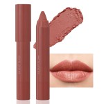 BINGBRUSH Crayon Matte Longwear Lipstick Pack Set,Moisture Smooth Color Stick Ultimate Lip Crayon for Makeup Collection - Waterproof Velvet Lipgloss (05, 1 Count (Pack of 1))