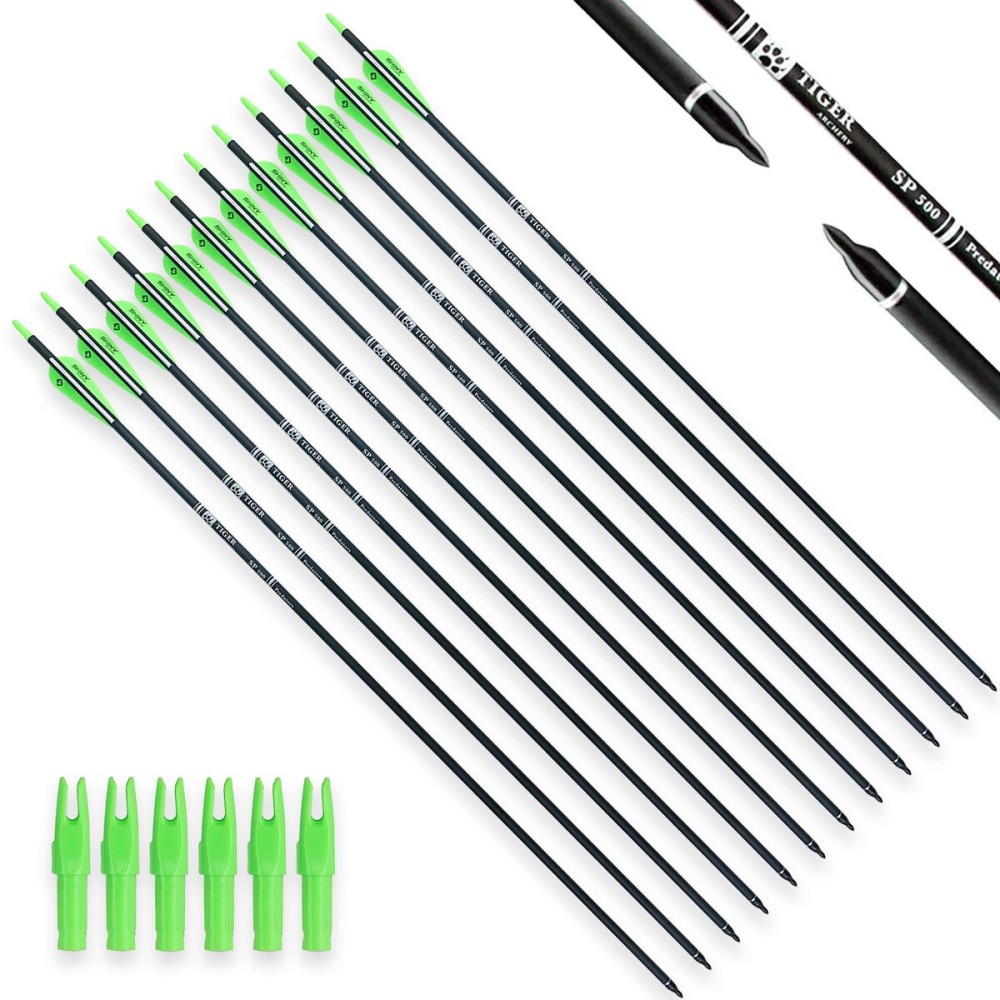 TIGER ARCHERY 30Inch Carbon Arrow Practice Hunting Arrows with Removable Tips for Compound & Recurve Bow(Pack of 12) (Light Green White)