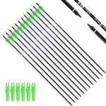 TIGER ARCHERY 30Inch Carbon Arrow Practice Hunting Arrows with Removable Tips for Compound & Recurve Bow(Pack of 12) (Light Green White)