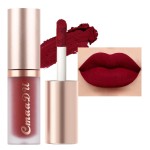 evpct 1Pcs Dark Sexy Red Matte Liquid Lipstick Lip Gloss Glossy Set for Black Women 24 Hour Silky Velvet Lipstick labiales matte larga duracion mate 24 horas originales 06