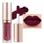 evpct 1Pcs Plum Purple Silky Velvet Matte Liquid Lipstick Lip Gloss Set for Women Long Lasting 24 Hours Color Stay Lipstick 07