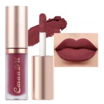 evpct 6Pcs Maroon Red Silky Velvet Matte Liquid Lipstick Lip Gloss Set for Women Long Lasting 24 Hours Color Stay Lipstick labiales matte larga duracion mate 24 horas originales 10