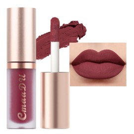 evpct 6Pcs Maroon Red Silky Velvet Matte Liquid Lipstick Lip Gloss Set for Women Long Lasting 24 Hours Color Stay Lipstick labiales matte larga duracion mate 24 horas originales 10