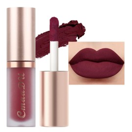 evpct 1Pcs Plum Wine Red Silky Velvet Matte Liquid Lipstick Lip Gloss Set for Women Long Lasting 24 Hours Color Stay Lipstick labiales matte larga duracion mate 24 horas originales 09