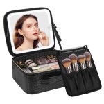 Chomeiu Makeup Bag with LED Mirror, Travel Makeup Case for Women and Makeup Artists Cosmetic Organizer Large Make Up Bags with Light Up Mirror, 3 Color Lights, Adjustable Dividers, Crocodile Pattern