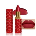 evpct 1Pcs Dark Red Lipstick, Silky Velvet Matte Lipstick Pack Sets for Women, Long Lasting Smudge Proof Lipstick Lip Stain Makeup Kit matte lipstick 24 hours original R03