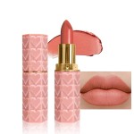 evpct 1Pcs Nude Pink Lipstick, Silky Velvet Matte Lipstick Pack Sets for Women, Long Lasting Smudge Proof Lipstick Lip Stain Makeup Kit matte lipstick 24 hours original N02