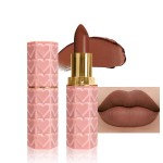 evpct 1Pcs Dark Brown Lipstick, Silky Velvet Matte Lipstick Pack Sets for Women, Long Lasting Smudge Proof Lipstick Lip Stain Makeup Kit matte lipstick 24 hours original N05