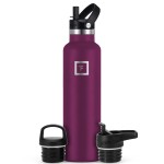 IRON FLASK Camping & Hiking Hydration Flask with Straw, BPA-Free Insulated Stainless Steel Sports Water Bottle - 24 oz Burgundy