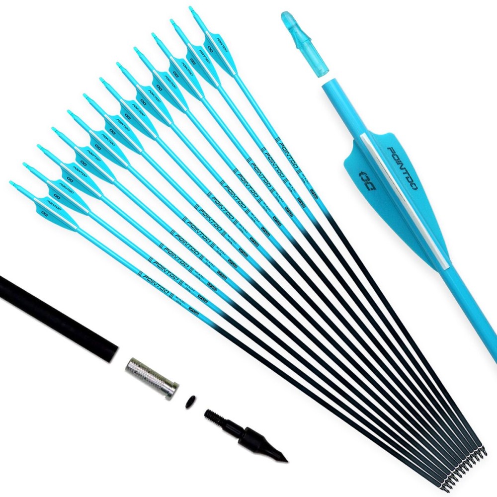 Pointdo 30inch Carbon Arrow Fluorescence Color Targeting and Practice and Hunting Arrows for Compound Bow and Recurve Bow with Removable Tips(Pack of 12) (Lake Blue)