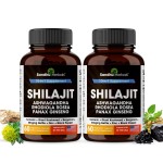 Shilajit Pure Himalayan for Men & Women | 120 Capsules with Ashwagandha | High Potency and Energy Supplement | Better Absorption than Gummies | For Extra Power and Stamina | Combo with Sea Moss
