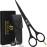 DEMAXA Professional Hair Scissors 6.5 Inch - Premium High Carbon Stainless Steel Barber Salon Hair Shears for Haircut Scissors - Ergonomic Design Super-Sharp Hair cutting Shears Blades