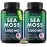 Sea Moss Capsules - Irish Sea Moss Advanced with Burdock Root, Bladderwrack & Muira Puama for Immunity, Gut, & Energy - Superfood Sea Moss Supplements w/Raw Sea Moss Powder (2 Pack)
