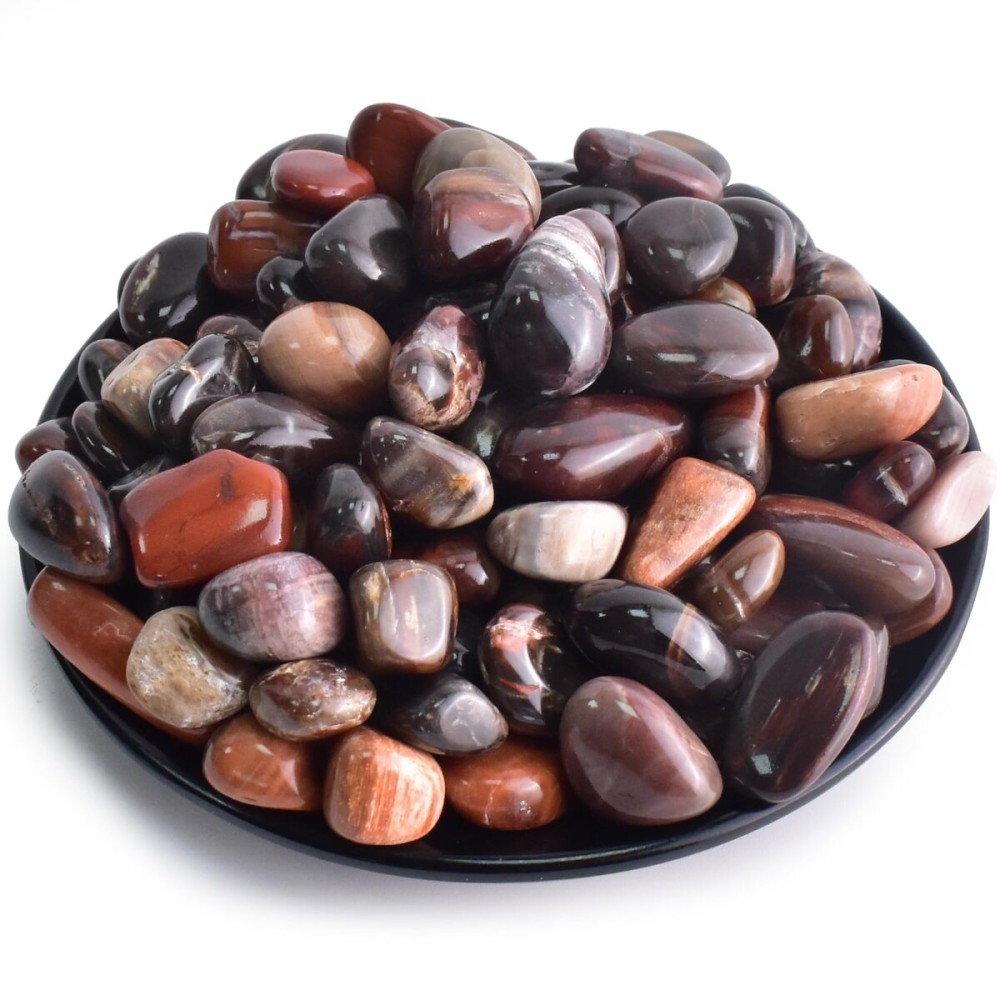 SigMntun Polished Petrified Wood Crystals - 72 Pcs, 0.5 10 oz Handpicked Natural Tumbled Gemstones Rocks, Pebbles for Reiki, Chakra, Healing Home Decor