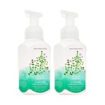 Bath and Body Works Gentle & Clean Foaming Hand Soap 8.75 Ounce 2-Pack (Garden Thyme)