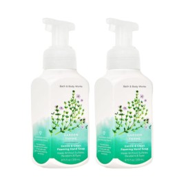Bath and Body Works Gentle & Clean Foaming Hand Soap 8.75 Ounce 2-Pack (Garden Thyme)