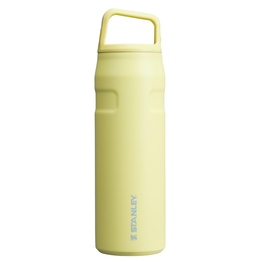 Stanley IceFlow Cap and Carry Water Bottle 24 oz | Wide Mouth Twist Lid | Lightweight and Leakproof for Travel and Sports | Insulated Stainless Steel | BPA-Free | Pomelo