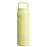 Stanley IceFlow Cap and Carry Water Bottle 24 oz | Wide Mouth Twist Lid | Lightweight and Leakproof for Travel and Sports | Insulated Stainless Steel | BPA-Free | Pomelo