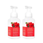 Bath and Body Works Apple Hibiscus Gentle Foaming Hand Soap 8.75 Ounce 2-Pack (Apple Hibiscus)
