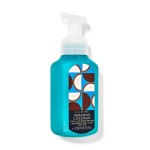 Bath and Body Works Gentle Foaming Hand Soap 8.75 Ounce 1-Pack (Paradise Coconut)