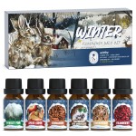 SoulOrigin Winter Essential Oils Set, Fragrance Oil Gift Set for Oil Diffusers, Scented Oils for Soap 6x10ml - Forest Pine, Spiced Apple Cider, Cinnamon, Mint Hot Chocolate, Gingerbread, and Cranberry