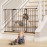 InnoTruth 28.9-49 Baby Gate for Doorways, 30 Tall Extra Wide Doggy Gates for Stairs One-Hand Opening, Easy Walk Thru Dual Lock Dog Gates for The House, Kitchen, Balcony, Easy Install Kid Gate,Brown