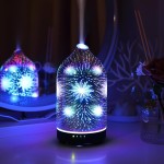 INRORANS Dandelion Essential Oil Diffuser 3D Glass Aromatherapy Diffuser - 160ml Ultrasonic Cool Mist Scent Aroma Diffuser, Whisper Quiet with Auto Shut-Off, Timer Setting &7 Colors Night Light