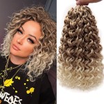 QRHSUKA Curly Crochet Hair GoGo Curl Crochet Hair for Women Ocean Wave Crochet Hair Synthetic Bohemian Crochet Braid Water Wave Crochet hair Extensions (12 inch(Pack of 6), T27/613)