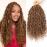 Col Bling Goddess Locs Crochet Hair 14 Inch, 8 Packs Faux Locs Crochet Hair Pre Looped for Women, Boho Crochet Locs with Curly Ends (14 Inch 27)