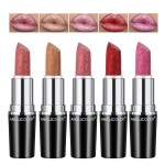 Anglicolor 5pcs Glitter Lipstick High Impact Lipcolor,Lipstick Moisturizing Creamy Formula,Metallic Lipstick For Women For Vegan & Cruelty-Free,Full-Coverage Lip Color (B, 20g)