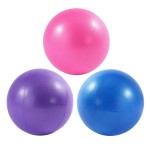 ElwynnLane 9 Inch Exercise Pilates Ball Mini Exercise Barre Ball for Yoga,Stability Exercise Training Gym Anti Burst and Slip Resistant Balls Physical Therapy Improves Balance