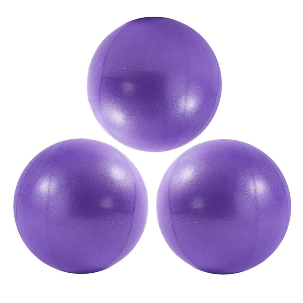 ElwynnLane 9 Inch Exercise Pilates Ball Mini Exercise Barre Ball for Yoga,Stability Exercise Training Gym Anti Burst and Slip Resistant Balls Physical Therapy Improves Balance