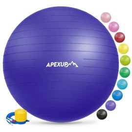 APEXUP Yoga Ball Exercise Ball, Anti Slip Stability Ball Chair, Heavy Duty Large Gym Ball for Fitness, Balance, Core Workout and Physical Therapy (M (19~22) 55cm, Indigo)