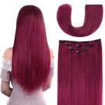 14 Clip in Hair Extensions Remy Human Hair for Women - Silky Straight Burgundy Real Hair Extensions Clip ins 58grams 4pieces (14inches, Burgundy)