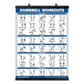 Palace Learning Exercise Poster for Dumbbell Training - Includes Instructions for Bodybuilding - Home Gym Chart - Laminated with Plastic Frame - 18 x 24
