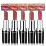 Anglicolor Metallic Glitter Pink Plum Brown Lipstick High Impact Lipcolor,Moisturizing Creamy Formula,Lipstick For Women,Smooth and Non-Sticky,Full-Coverage Lip Color (C, 20g)