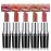 Anglicolor Metallic Glitter Pink Plum Brown Lipstick High Impact Lipcolor,Moisturizing Creamy Formula,Lipstick For Women,Smooth and Non-Sticky,Full-Coverage Lip Color (C, 20g)