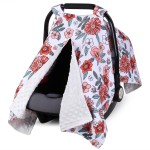 Rquite Car Seat Cover Baby, Carseat Covers Baby for Girl Boy, Warm Minky Infant Car Seat Cover Winter, Peekaboo Opening Car Seat Canopy, Multi-use Baby Carrier, Stroller, Nursing Cover, Minky Blanket