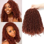 Aksice Pre-looped Yanky Twist Crochet Hair 10 Inch 8 Packs Bohemian Passion Twist Spring Mini Twist Crochet Hair for Black Women Boho Crochet Braids Synthetic (350)