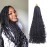 Beverlee Goddess Box Braids Crochet Hair 22 Inch - 8 Packs Boho Bohemian Braids With Curly Ends - Messy Pre-looped Synthetic Hair for Women