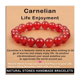 AD Beads Handmade Gemstone Stretch Elastic Bracelet Crystal Healing Reiki Nature\'s Beauty and Spiritual Essence Unisex (10mm, Carnelian (Life Enjoyment))