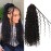 Goddess Boho Box Braids Crochet Hair-8 Packs 14 Inch Crochet Box Braids for Black Women Pre Looped (1B, 14 Inch (Pack of 8))