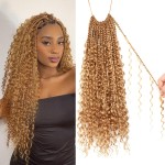 Goddess Boho Box Braids Crochet Hair-8 Packs 18 Inch Crochet Box Braids for Black Women Pre Looped ((27, 18 Inch (Pack of 8))