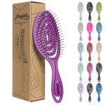 Ninabella Detangling Hair Brush for Women & Men - Does not Pull - Straightening Brushes for Straight, Curly & Wet Hair - Vented Unique Spiral Hairbrush - Berry