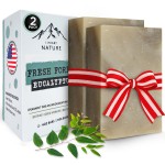Fresh Forest Eucalyptus Soap Bar (2 Pack) with Spearmint for an Invigorating and Soothing Cleanse - Face & Body Wash - Infused with Shea Butter for Rich Creamy Lather & Long-Lasting Freshness