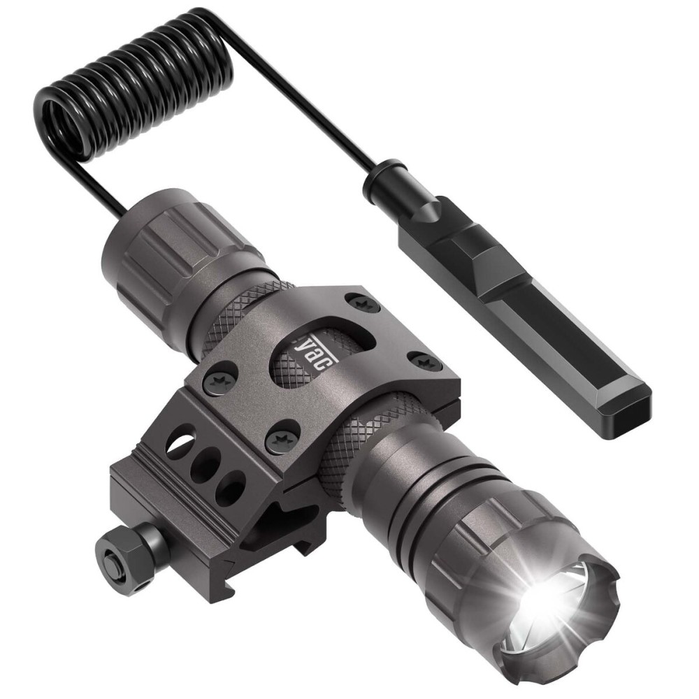 fengshuisale Natural Pyrite Crystal Stone for Luck,Success,Making Changes,Confidence in Business,Creativity,and Inspiring Passion Home Decor (Pyrites)