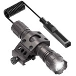 fengshuisale Natural Pyrite Crystal Stone for Luck,Success,Making Changes,Confidence in Business,Creativity,and Inspiring Passion Home Decor (Pyrites)