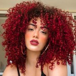Xinran Omber Red Kinky Curly Wig Afro with Bangsred and black Afro 70s Wigs for WomenAfro Synthetic Full Wigs Soft and Fluffy Like a Bomb 14 Inches Short Curly Hair